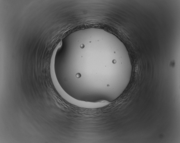 X0000116580868200912312012