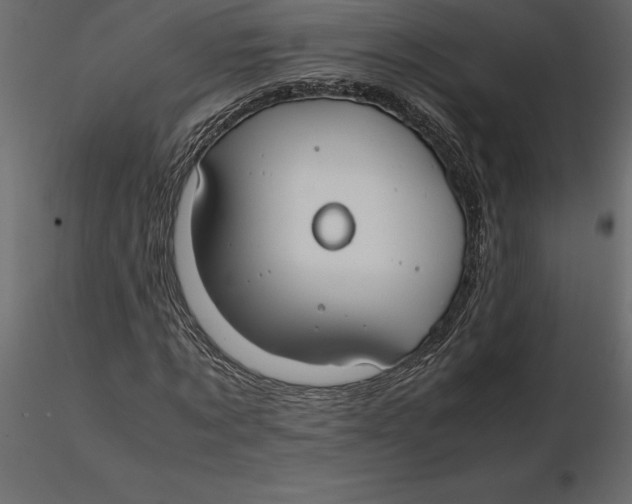 X0000116580869200912312012