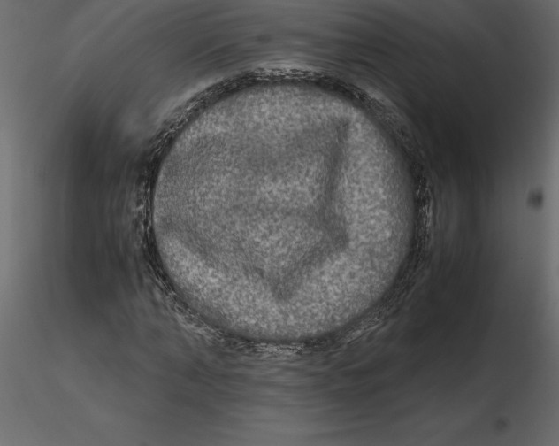 X0000116580870200912312012