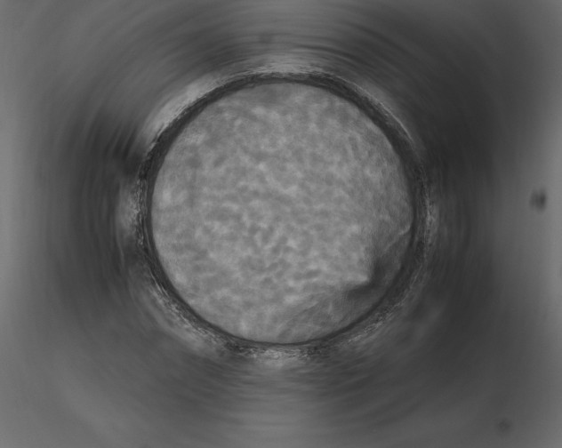 X0000116580874200912312012