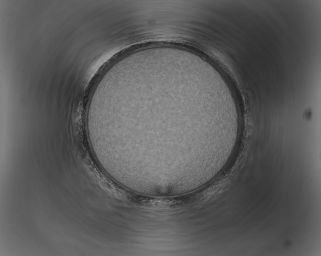 X0000116580875200912312012