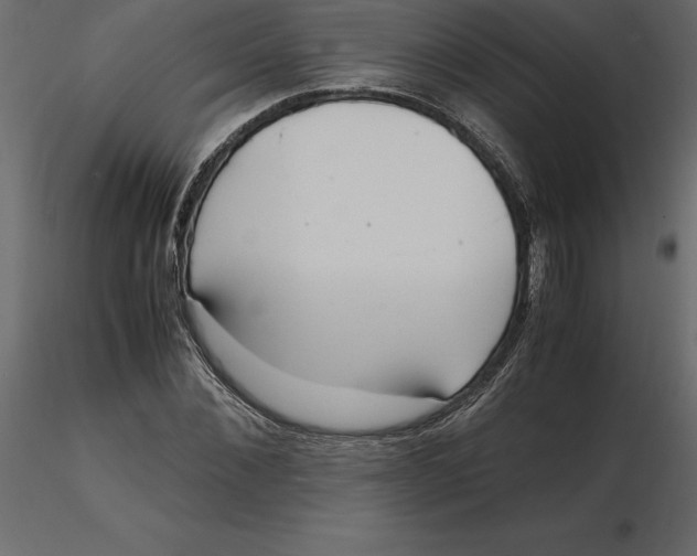 X0000116580876200912312012