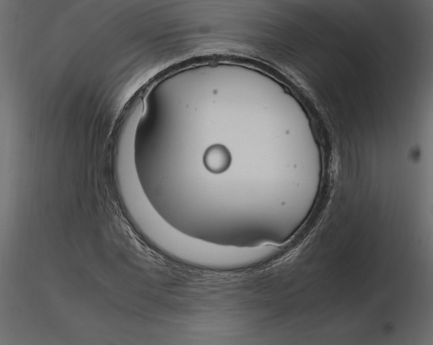 X0000116580877200912312012