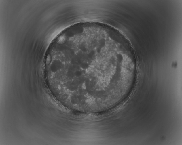 X0000116580879200912312012