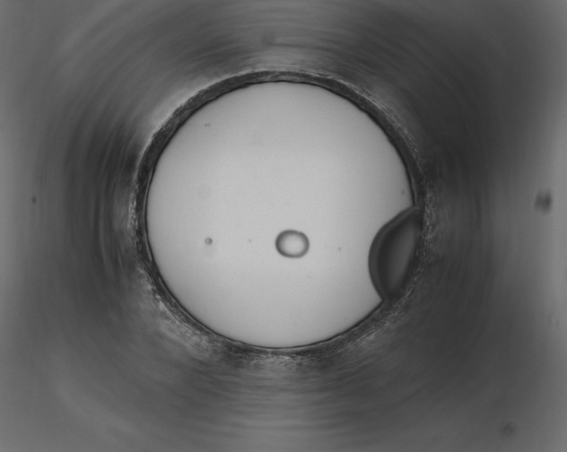 X0000116580880200912312012