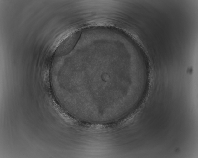 X0000116580881200912312012