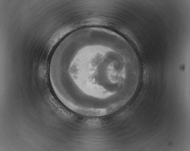 X0000116580882200912312012