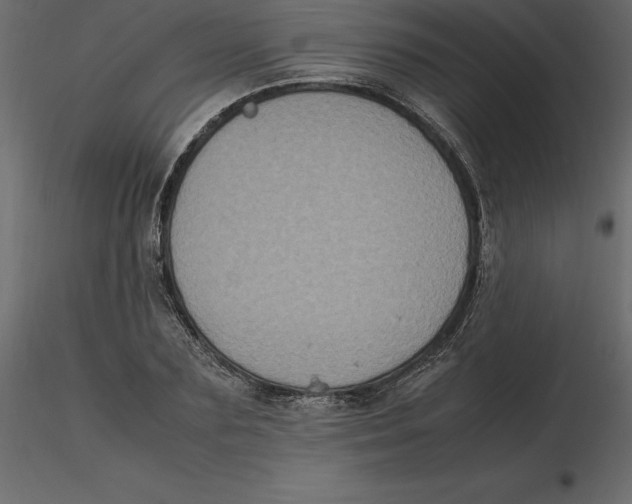 X0000116580883200912312012