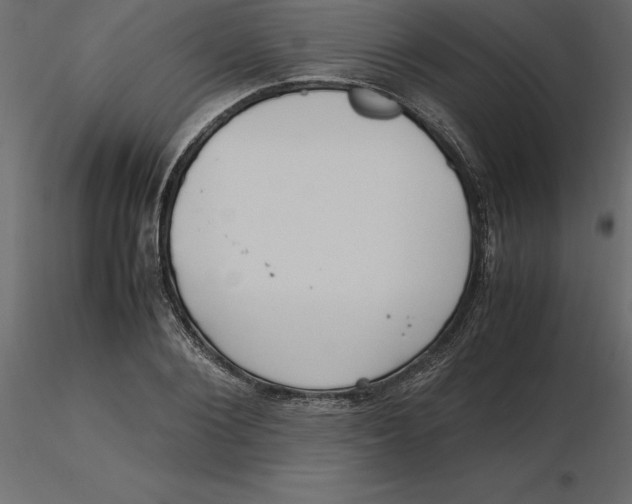 X0000116580884200912312012