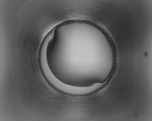 X0000116580885200912312012