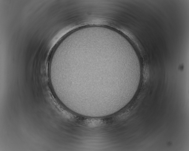 X0000116580886200912312012