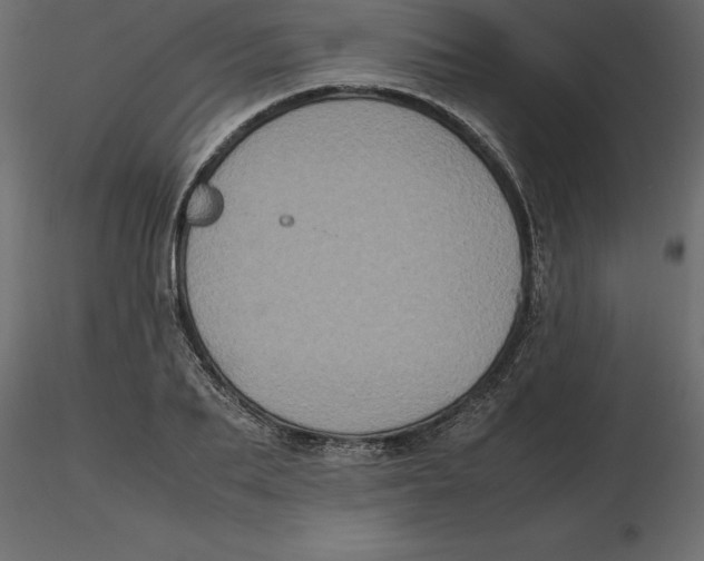 X0000116580887200912312012