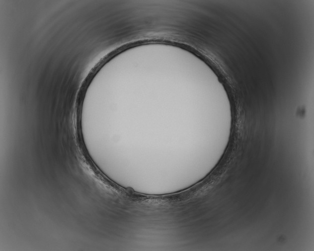 X0000116580888200912312012