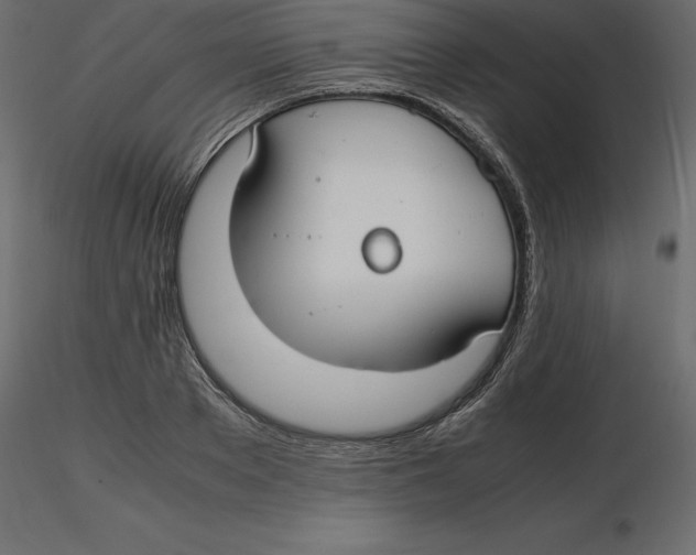 X0000116580889200912312012