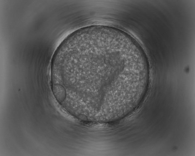 X0000116580891200912312012