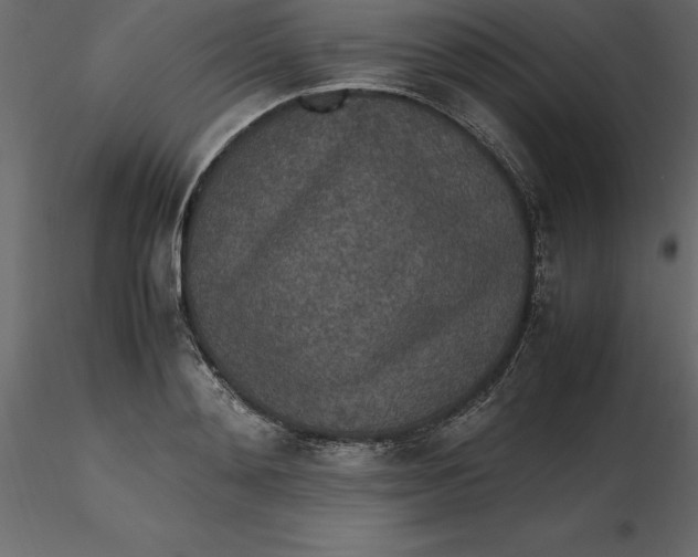 X0000116580892200912312012