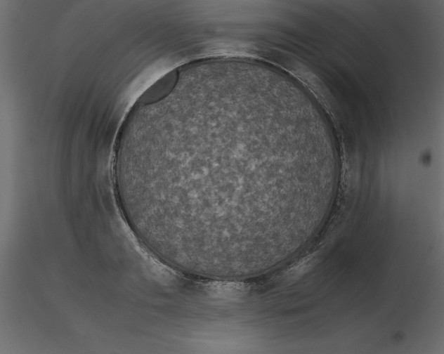 X0000116580893200912312012