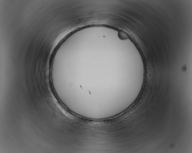 X0000116580894200912312012