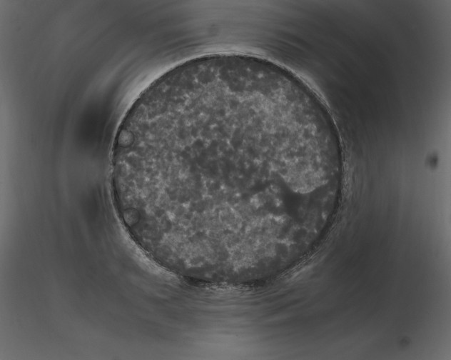 X0000116580895200912312012