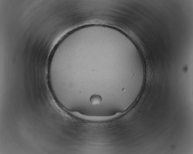 X0000116580896200912312012