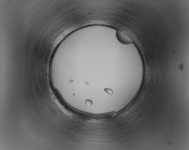 X0000116580898200912312012