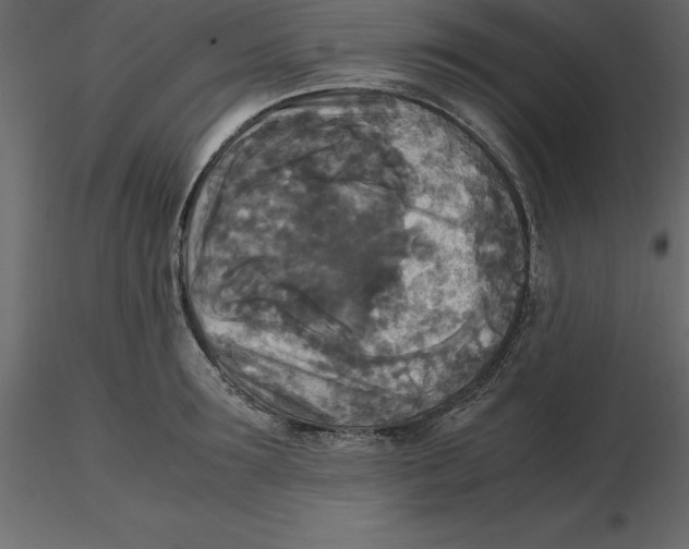 X0000116580899200912312012