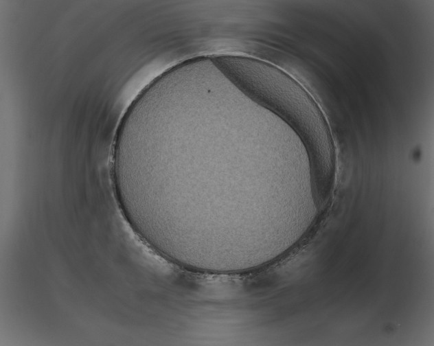 X0000116580901200912312012