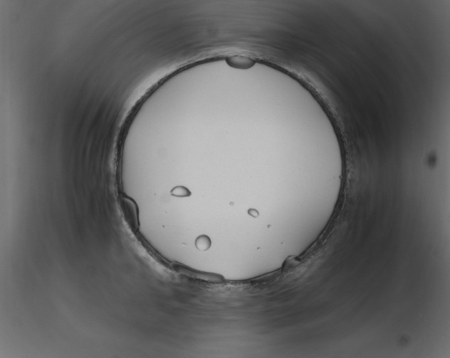 X0000116580902200912312012