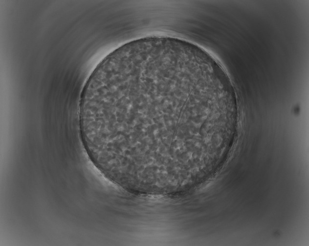 X0000116580903200912312012