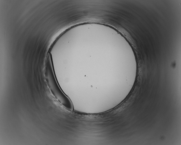 X0000116580904200912312012