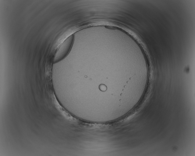 X0000116580905200912312012