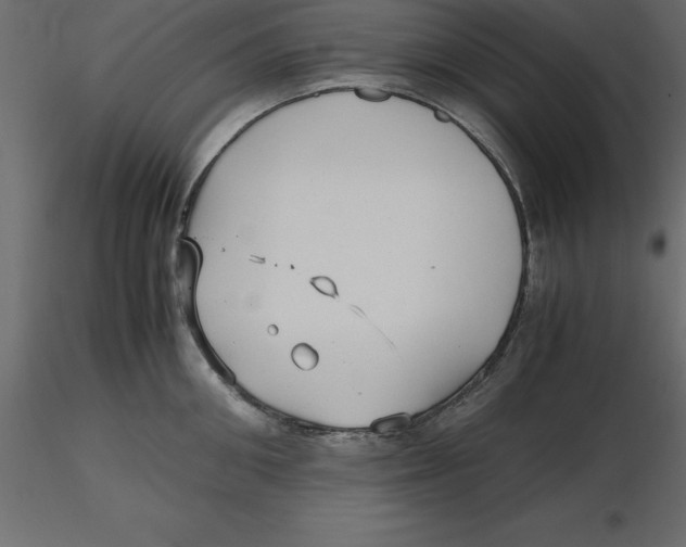 X0000116580906200912312012