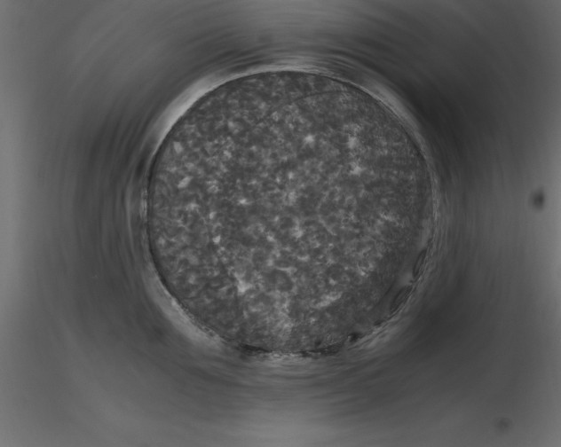 X0000116580907200912312012