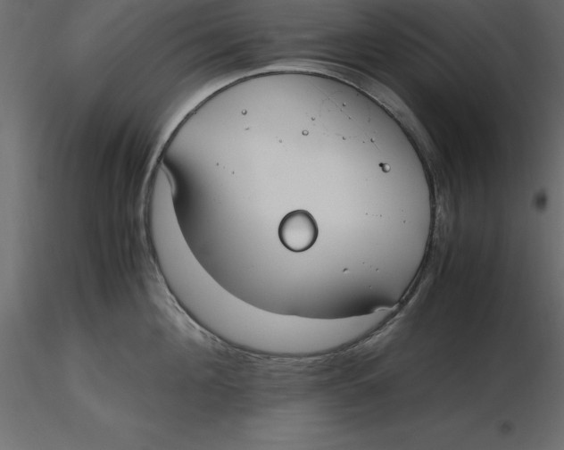 X0000116580908200912312012