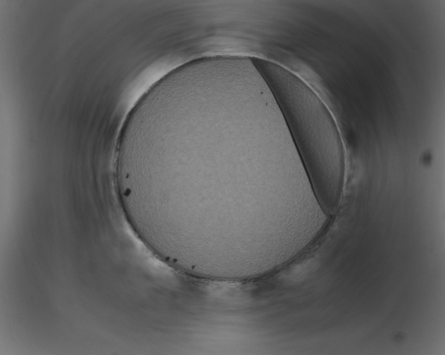 X0000116580909200912312012