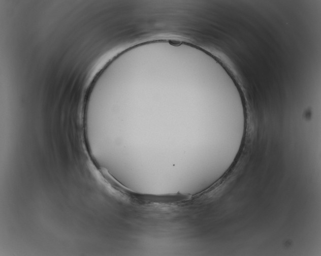 X0000116580910200912312012