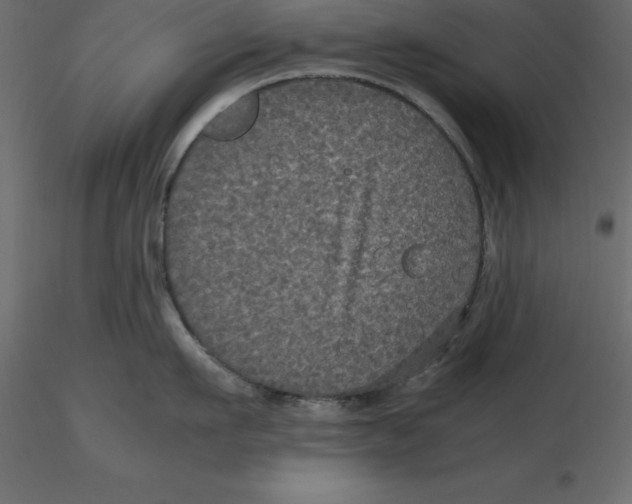 X0000116580911200912312012