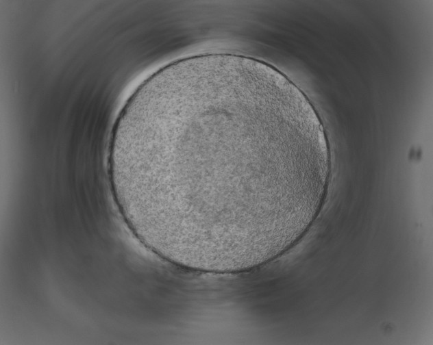 X0000116580912200912312012