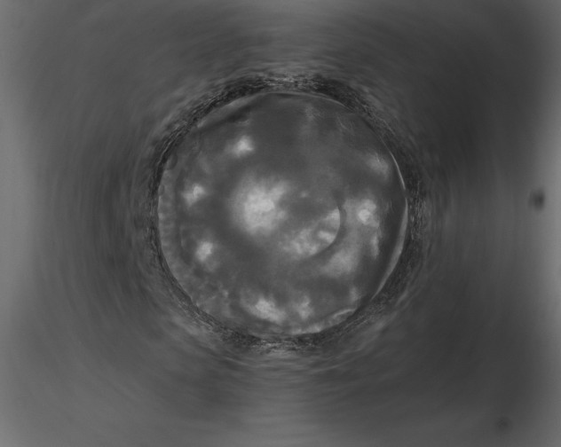 X0000116580913200912312011