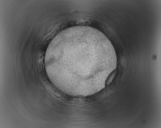 X0000116580914200912312011