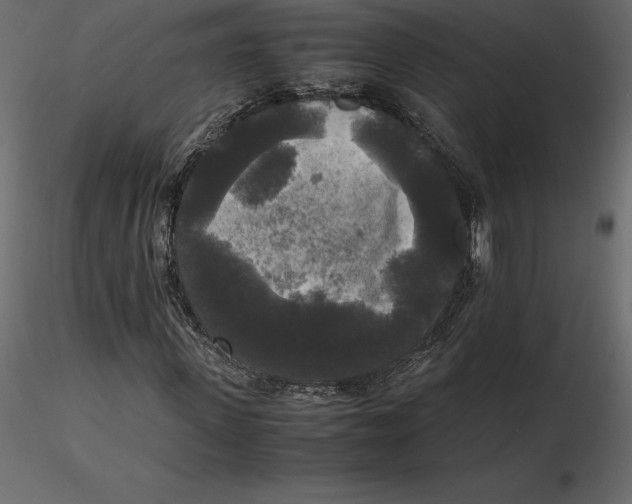 X0000116580915200912312011