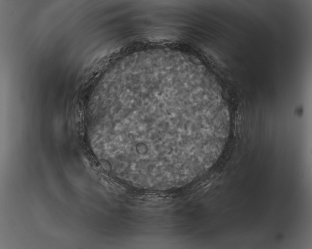 X0000116580917200912312011