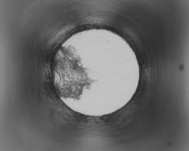 X0000116580918200912312011