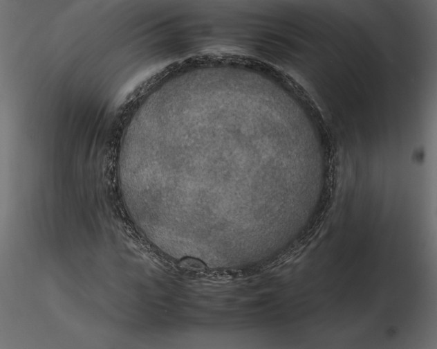 X0000116580919200912312011