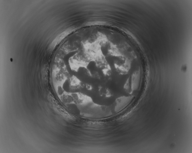 X0000116580921200912312011