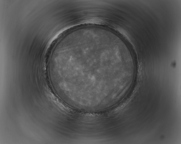 X0000116580923200912312011