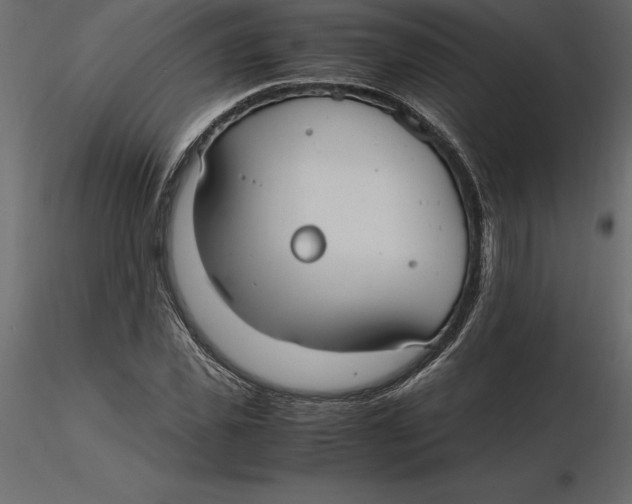 X0000116580925200912312011