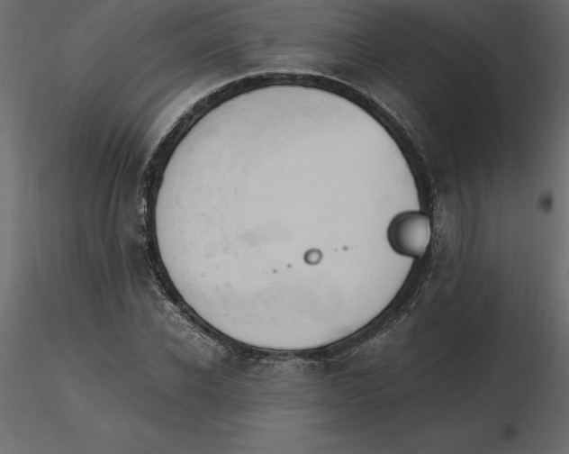 X0000116580926200912312011