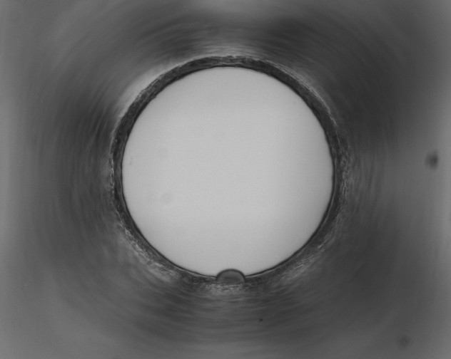 X0000116580927200912312011