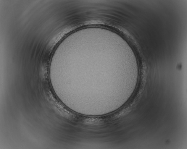 X0000116580929200912312011